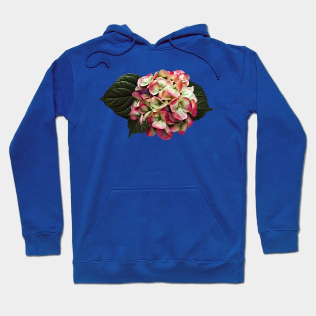 Hydrangeas - One Pink and White Hydrangea Hoodie by SusanSavad